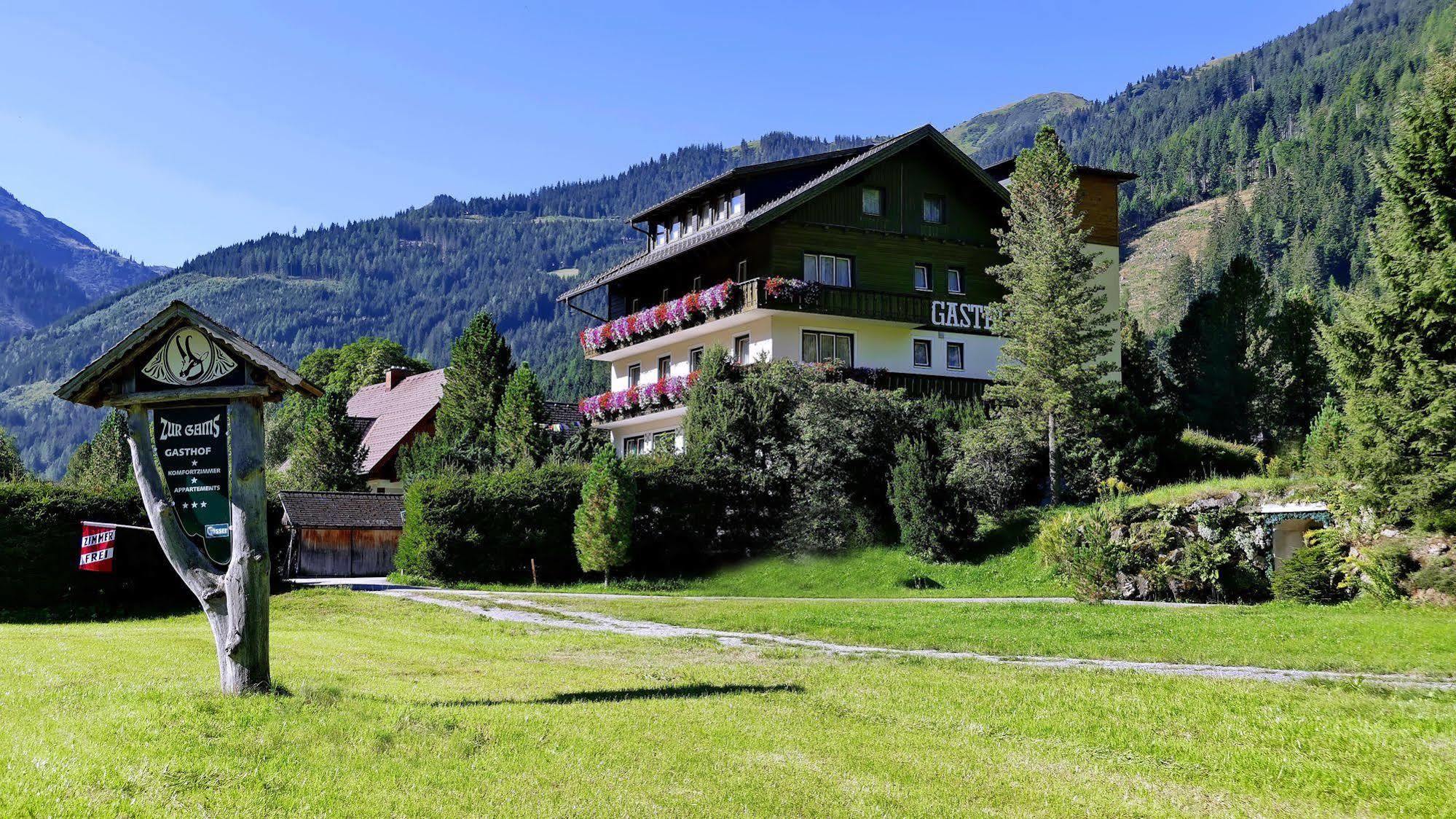 Gasthof Zur Gams ドナースバッハヴァルト エクステリア 写真